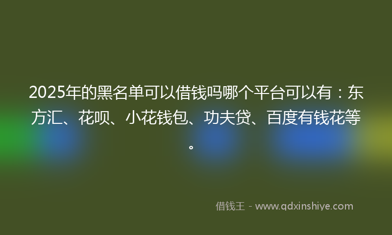 2025年的黑名单可以借钱吗哪个平台可以有：东方汇、花呗、小花钱包、功夫贷、百度有钱花等。