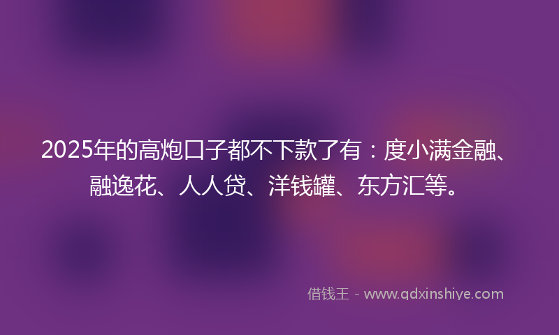 2025年的高炮口子都不下款了有：度小满金融、融逸花、人人贷、洋钱罐、东方汇等。