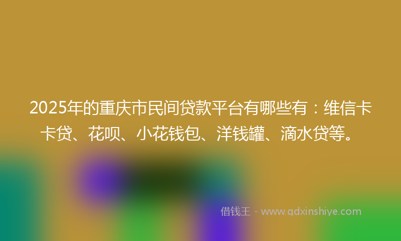 2025年的重庆市民间贷款平台有哪些有：维信卡卡贷、花呗、小花钱包、洋钱罐、滴水贷等。