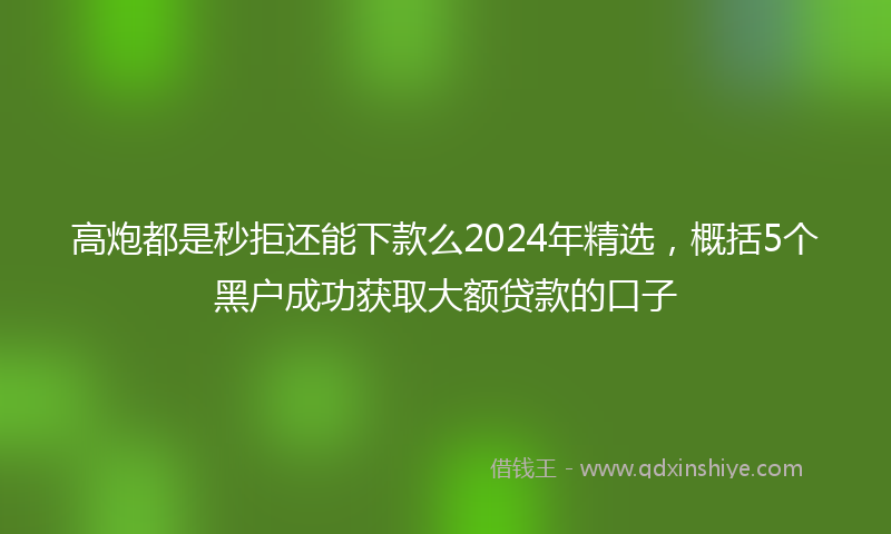 高炮都是秒拒还能下款么2024年精选，概括5个黑户成功获取大额贷款的口子
