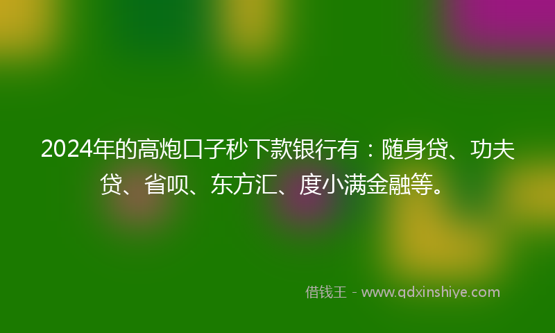 2024年的高炮口子秒下款银行有：随身贷、功夫贷、省呗、东方汇、度小满金融等。