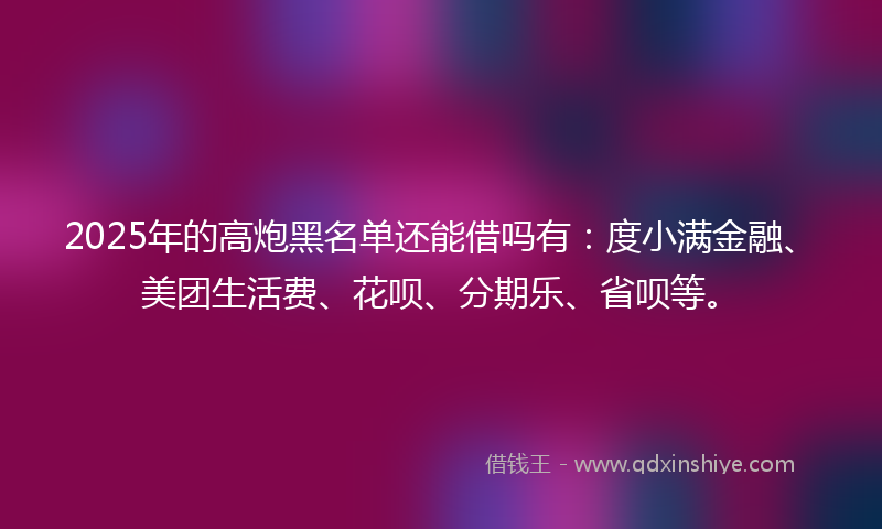 2025年的高炮黑名单还能借吗有：度小满金融、美团生活费、花呗、分期乐、省呗等。