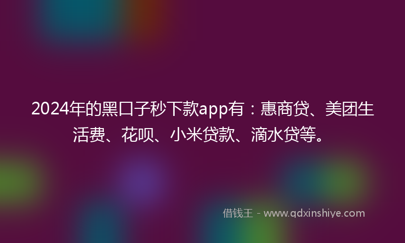 2024年的黑口子秒下款app有：惠商贷、美团生活费、花呗、小米贷款、滴水贷等。