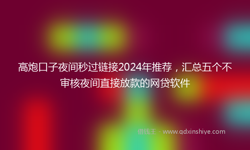 高炮口子夜间秒过链接2024年推荐，汇总五个不审核夜间直接放款的网贷软件