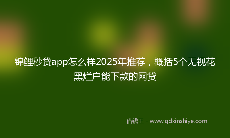 锦鲤秒贷app怎么样2025年推荐，概括5个无视花黑烂户能下款的网贷