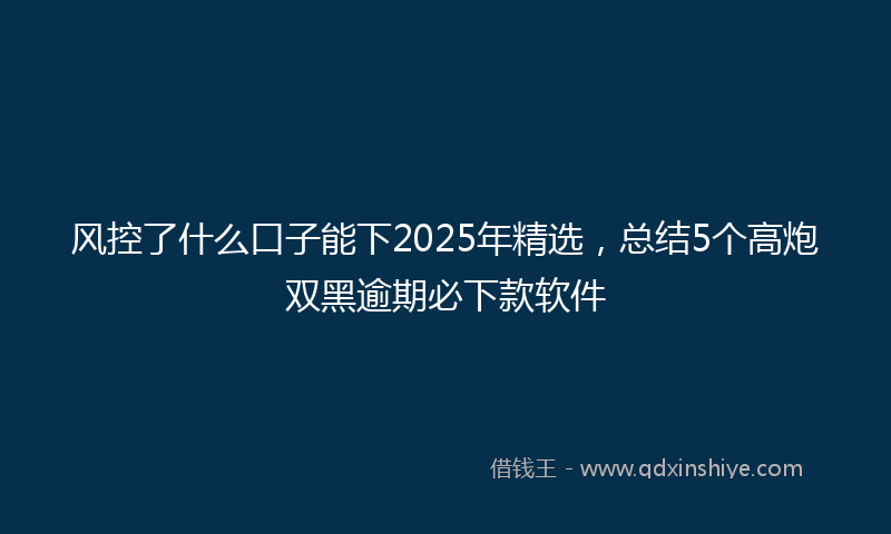 风控了什么口子能下2025年精选，总结5个高炮双黑逾期必下款软件