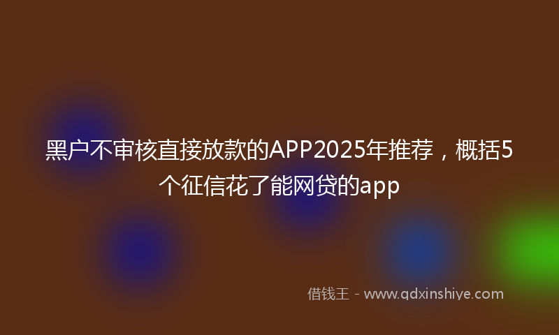 黑户不审核直接放款的APP2025年推荐，概括5个征信花了能网贷的app