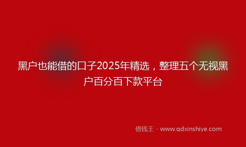 黑户也能借的口子2025年精选，整理五个无视黑户百分百下款平台