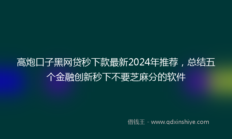 高炮口子黑网贷秒下款最新2024年推荐，总结五个金融创新秒下不要芝麻分的软件