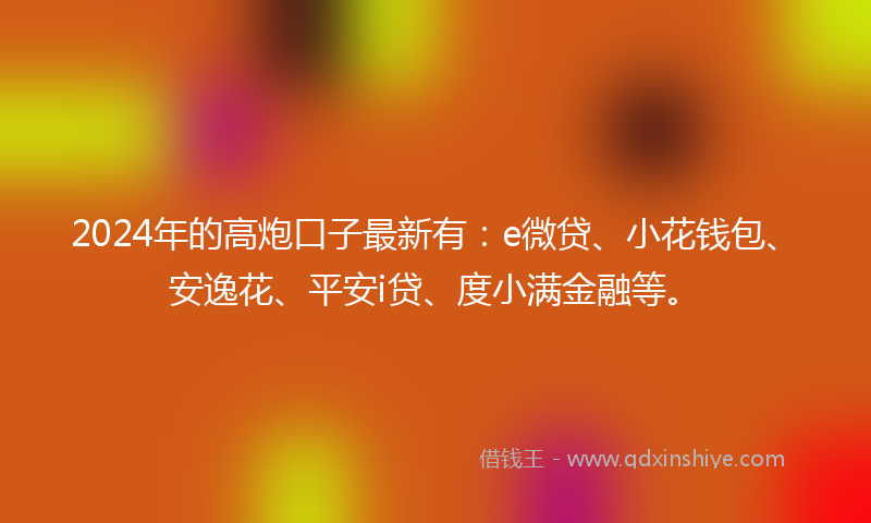 2024年的高炮口子最新有：e微贷、小花钱包、安逸花、平安i贷、度小满金融等。