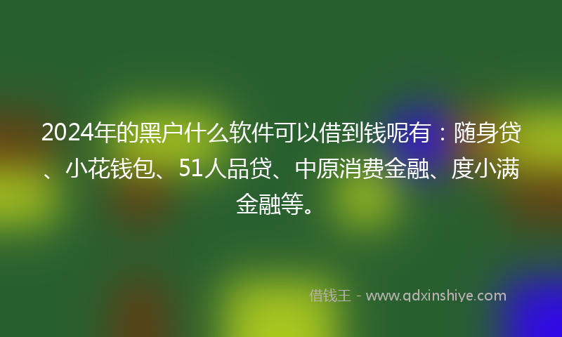 2024年的黑户什么软件可以借到钱呢有：随身贷、小花钱包、51人品贷、中原消费金融、度小满金融等。