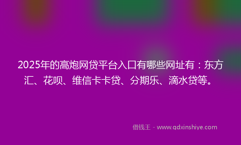 2025年的高炮网贷平台入口有哪些网址有：东方汇、花呗、维信卡卡贷、分期乐、滴水贷等。