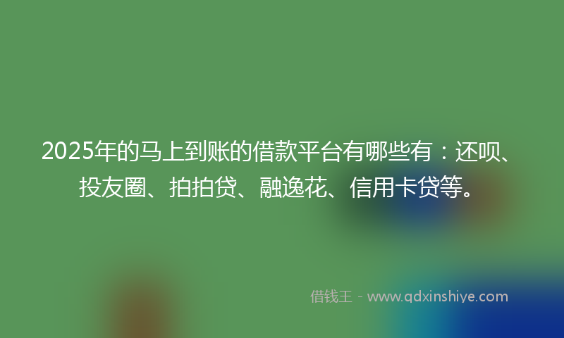 2025年的马上到账的借款平台有哪些有：还呗、投友圈、拍拍贷、融逸花、信用卡贷等。