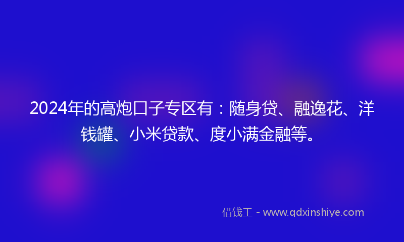2024年的高炮口子专区有：随身贷、融逸花、洋钱罐、小米贷款、度小满金融等。