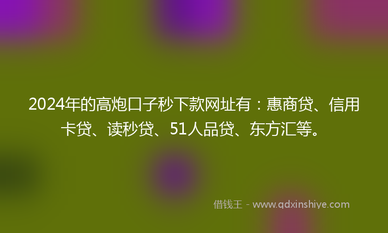 2024年的高炮口子秒下款网址有：惠商贷、信用卡贷、读秒贷、51人品贷、东方汇等。