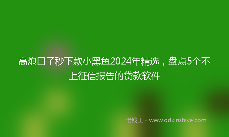 高炮口子秒下款小黑鱼2024年精选，盘点5个不上征信报告的贷款软件