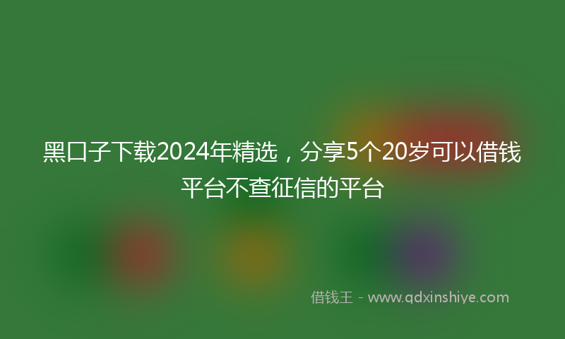 黑口子下载2024年精选，分享5个20岁可以借钱平台不查征信的平台