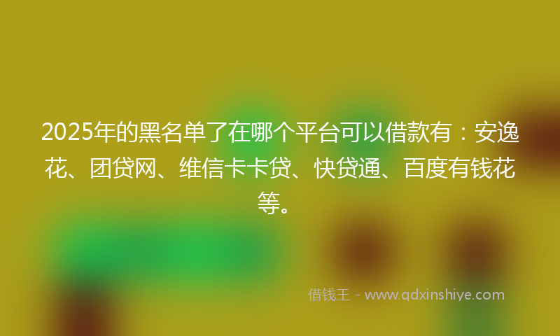 2025年的黑名单了在哪个平台可以借款有：安逸花、团贷网、维信卡卡贷、快贷通、百度有钱花等。