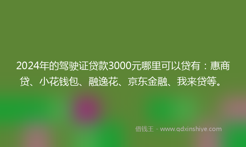2024年的驾驶证贷款3000元哪里可以贷有：惠商贷、小花钱包、融逸花、京东金融、我来贷等。