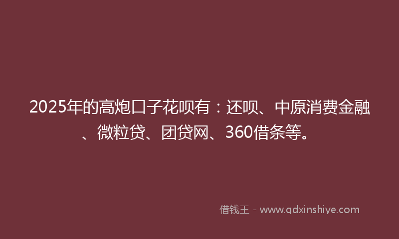 2025年的高炮口子花呗有：还呗、中原消费金融、微粒贷、团贷网、360借条等。