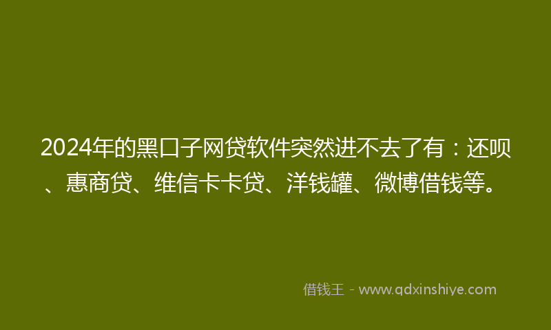 2024年的黑口子网贷软件突然进不去了有：还呗、惠商贷、维信卡卡贷、洋钱罐、微博借钱等。