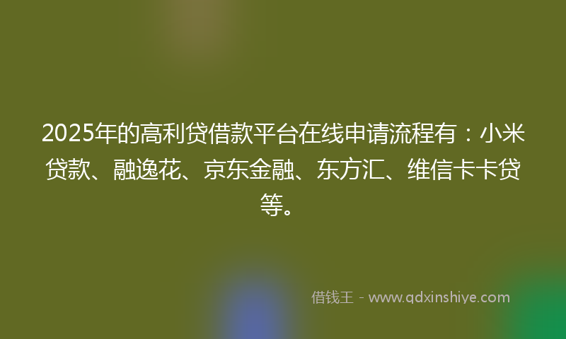 2025年的高利贷借款平台在线申请流程有：小米贷款、融逸花、京东金融、东方汇、维信卡卡贷等。