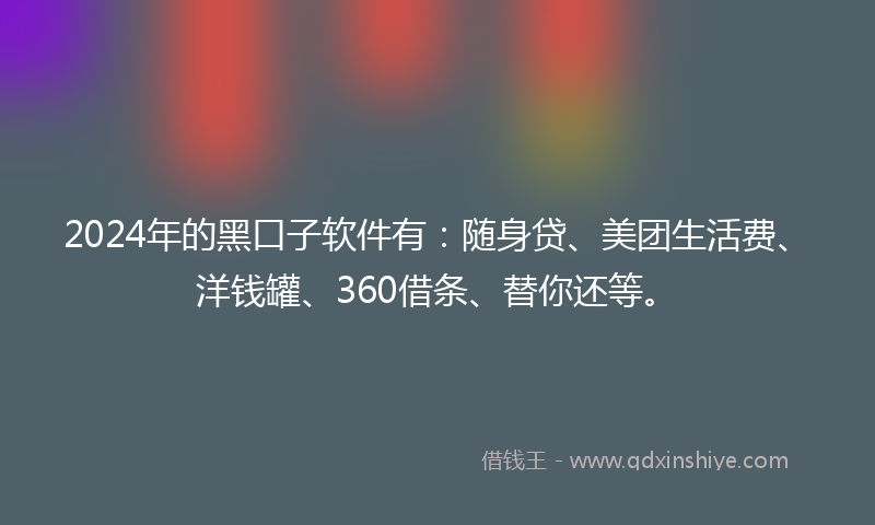 2024年的黑口子软件有：随身贷、美团生活费、洋钱罐、360借条、替你还等。