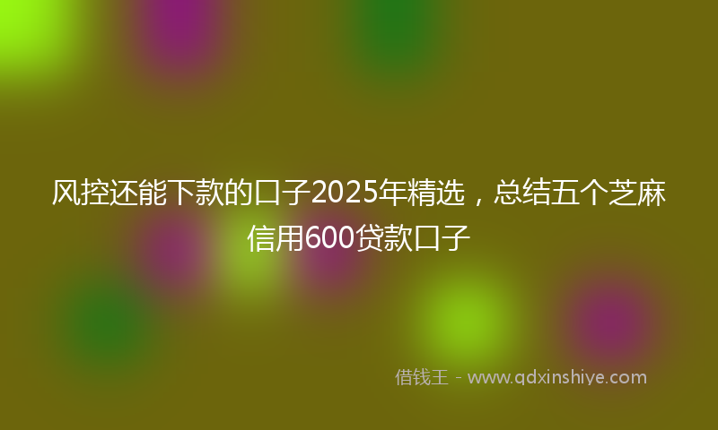 风控还能下款的口子2025年精选，总结五个芝麻信用600贷款口子