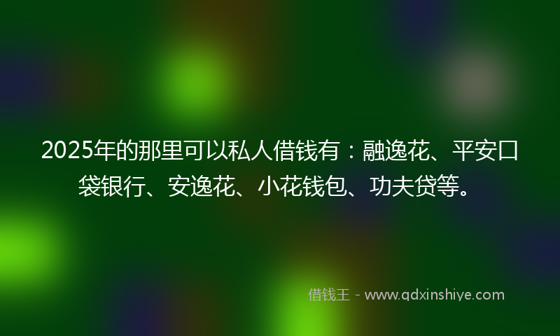 2025年的那里可以私人借钱有：融逸花、平安口袋银行、安逸花、小花钱包、功夫贷等。
