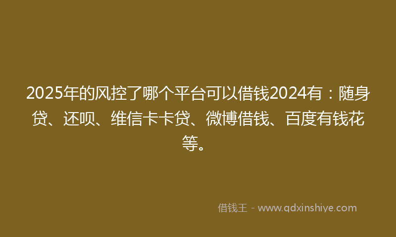 2025年的风控了哪个平台可以借钱2024有：随身贷、还呗、维信卡卡贷、微博借钱、百度有钱花等。