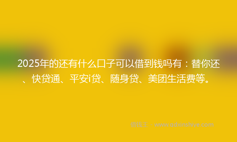 2025年的还有什么口子可以借到钱吗有：替你还、快贷通、平安i贷、随身贷、美团生活费等。