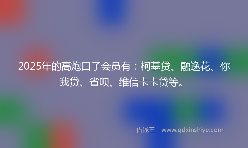 2025年的高炮口子会员有：柯基贷、融逸花、你我贷、省呗、维信卡卡贷等。