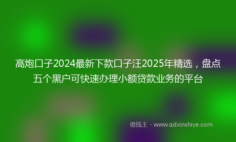 高炮口子2024最新下款口子汪2025年精选，盘点五个黑户可快速办理小额贷款业务的平台