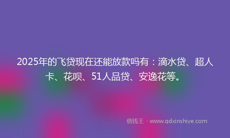 2025年的飞贷现在还能放款吗有：滴水贷、超人卡、花呗、51人品贷、安逸花等。