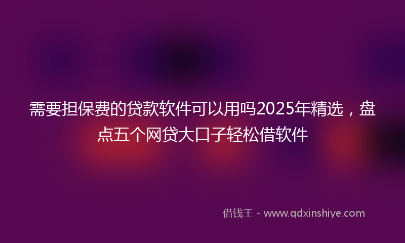 需要担保费的贷款软件可以用吗2025年精选，盘点五个网贷大口子轻松借软件