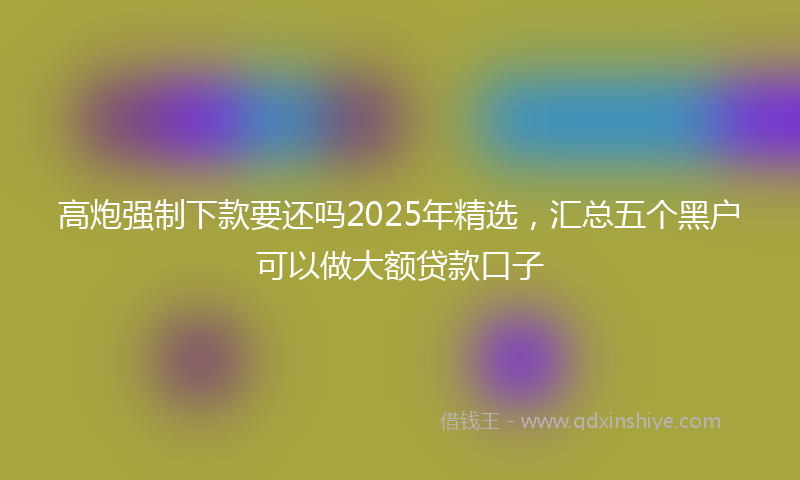高炮强制下款要还吗2025年精选，汇总五个黑户可以做大额贷款口子