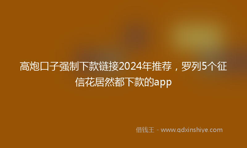 高炮口子强制下款链接2024年推荐，罗列5个征信花居然都下款的app