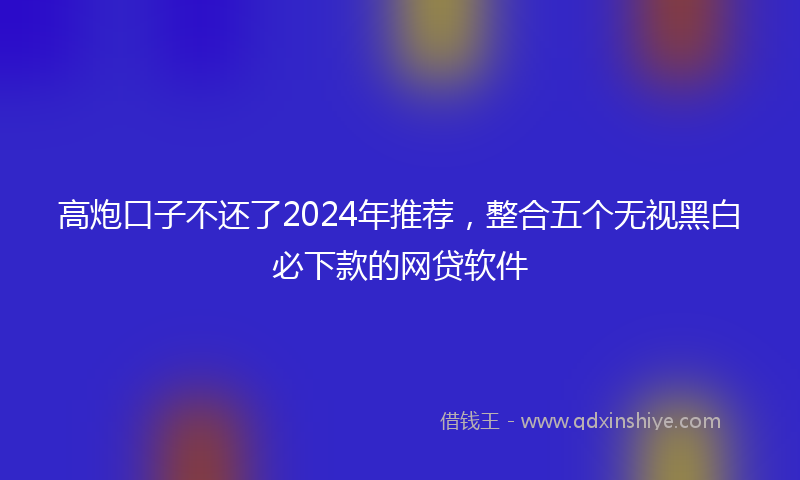 高炮口子不还了2024年推荐，整合五个无视黑白必下款的网贷软件