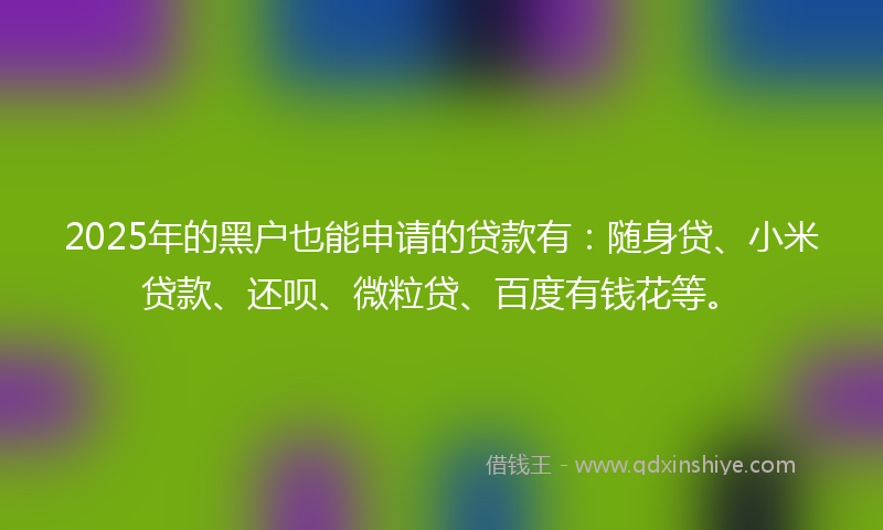 2025年的黑户也能申请的贷款有：随身贷、小米贷款、还呗、微粒贷、百度有钱花等。