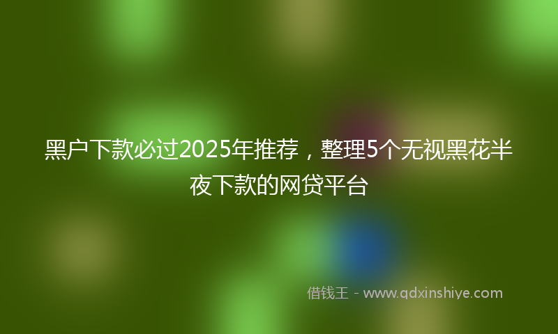 黑户下款必过2025年推荐，整理5个无视黑花半夜下款的网贷平台