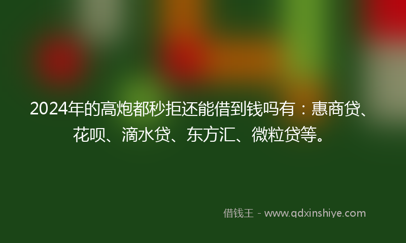 2024年的高炮都秒拒还能借到钱吗有：惠商贷、花呗、滴水贷、东方汇、微粒贷等。