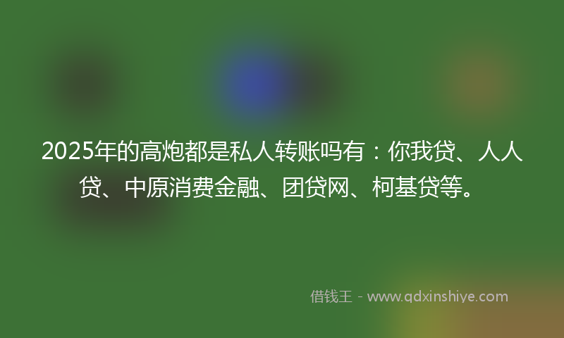 2025年的高炮都是私人转账吗有：你我贷、人人贷、中原消费金融、团贷网、柯基贷等。