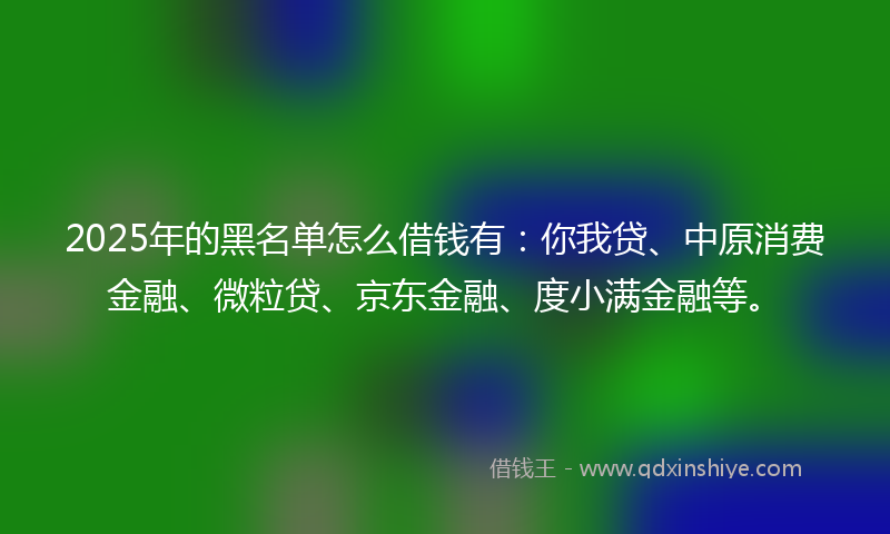 2025年的黑名单怎么借钱有：你我贷、中原消费金融、微粒贷、京东金融、度小满金融等。