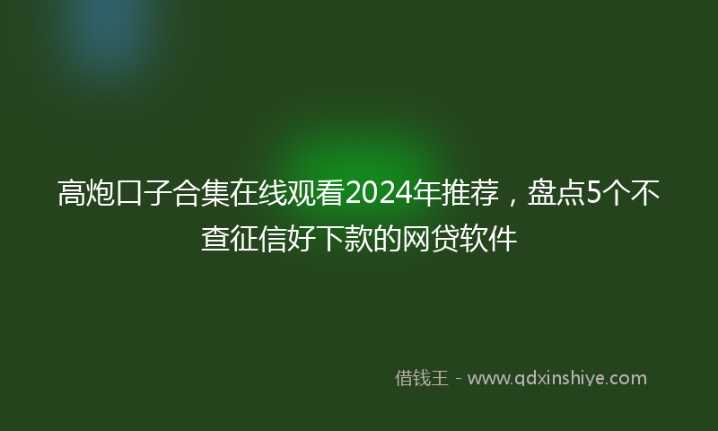 高炮口子合集在线观看2024年推荐，盘点5个不查征信好下款的网贷软件