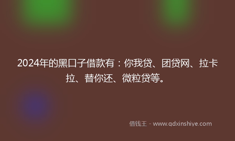 2024年的黑口子借款有：你我贷、团贷网、拉卡拉、替你还、微粒贷等。