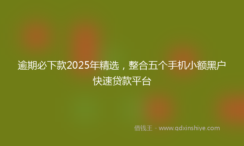 逾期必下款2025年精选，整合五个手机小额黑户快速贷款平台