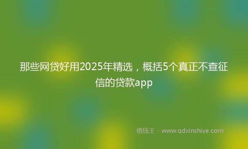 那些网贷好用2025年精选，概括5个真正不查征信的贷款app