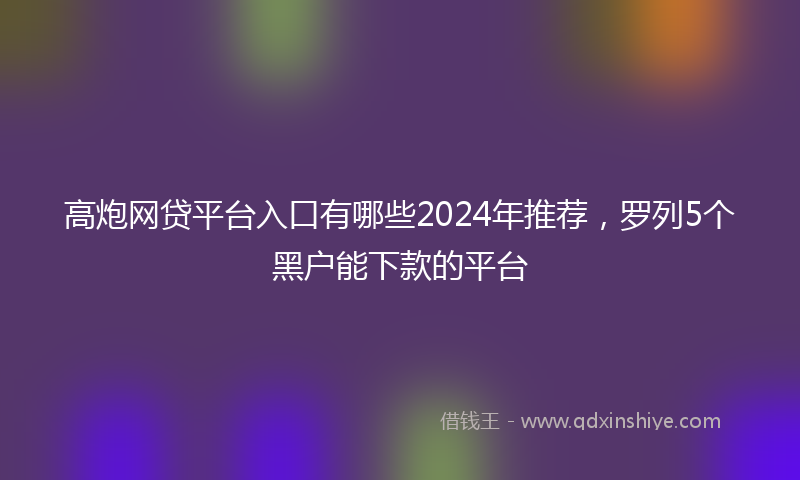 高炮网贷平台入口有哪些2024年推荐，罗列5个黑户能下款的平台