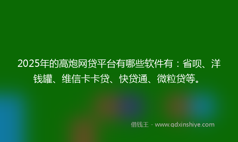 2025年的高炮网贷平台有哪些软件有：省呗、洋钱罐、维信卡卡贷、快贷通、微粒贷等。