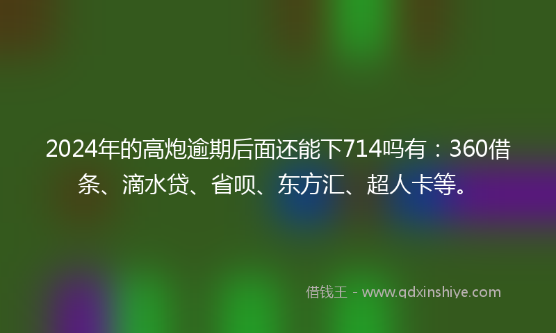 2024年的高炮逾期后面还能下714吗有：360借条、滴水贷、省呗、东方汇、超人卡等。